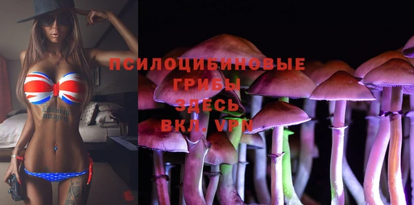 тгк Протвино